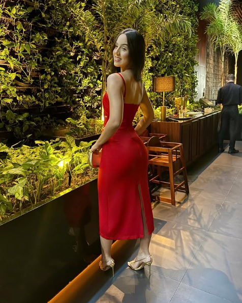 Red Sheath Prom Dress New Arrival Sexy Evening Dress cg25241