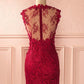 2019 Homecoming Dresses sheath red lace dress   cg3261