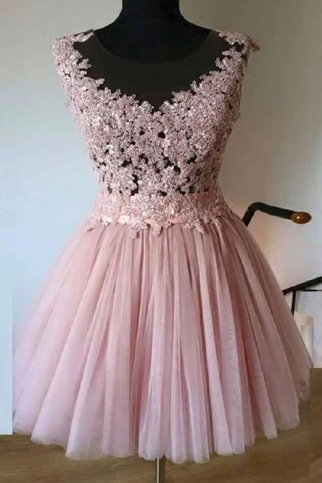 Sheer Neck Tulle Short Homecoming Dresses with Appliques  cg3589