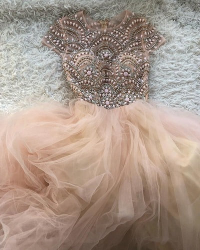 Princess Cap Sleeves tulle Ball Gown prom dress cg3738