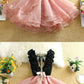 2019 Charming Homecoming Dresses,Organza Short Homecoming Dresses,Affordable Homecoming Dresses cg587